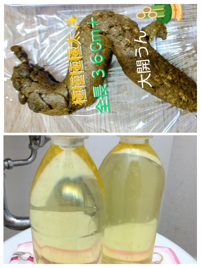出品者名-写真
